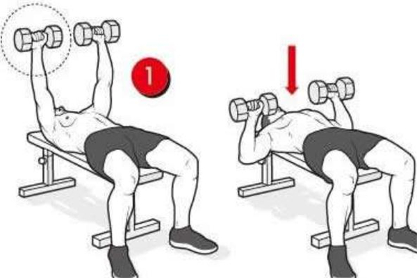 啞鈴平板臥推標準動作 啞鈴平板臥推動作要領 啞鈴平板臥推標準動作 啞鈴平板臥推動作要領