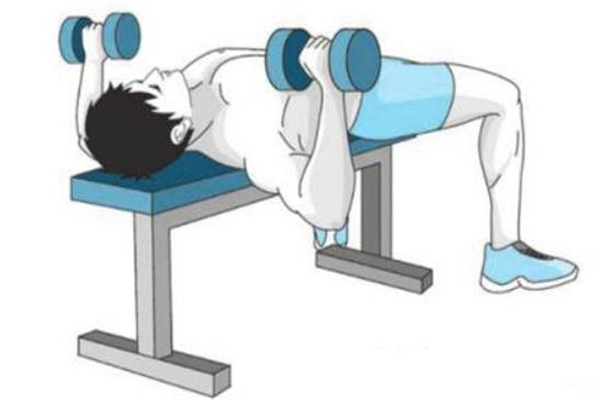 啞鈴平板臥推標準動作 啞鈴平板臥推動作要領 啞鈴平板臥推標準動作 啞鈴平板臥推動作要領