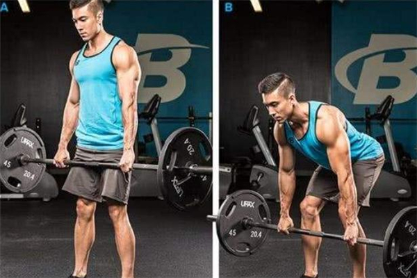 直腿硬拉和屈腿硬拉的區(qū)別 直腿硬拉和屈腿硬拉哪個(gè)好 直腿硬拉和屈腿硬拉的區(qū)別 直腿硬拉和屈腿硬拉哪個(gè)好