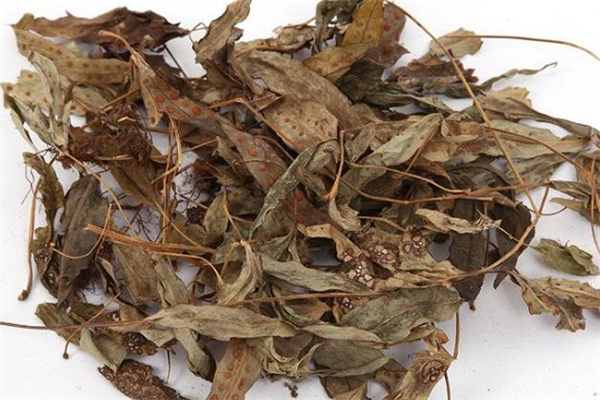 鴨腳草孕婦可以吃嗎 鴨腳草燉湯孕婦能喝嗎 鴨腳草孕婦可以吃嗎 鴨腳草燉湯孕婦能喝嗎