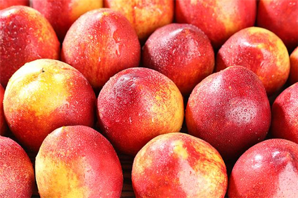 油桃常溫下可以放幾天 油桃常溫能放多久 油桃常溫下可以放幾天 油桃常溫能放多久