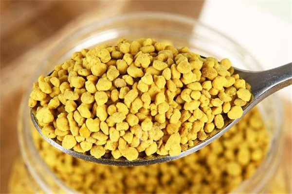 蜂花粉可以長期服用嗎 蜂花粉長期吃有什么好處 蜂花粉可以長期服用嗎 蜂花粉長期吃有什么好處
