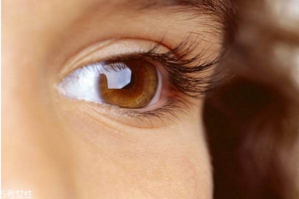 腫眼泡能消除嗎 腫眼泡和脂肪眼腫區(qū)別 腫眼泡能消除嗎 腫眼泡和脂肪眼腫區(qū)別