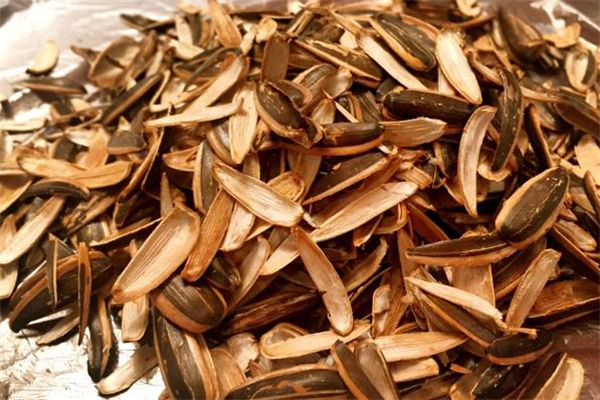 瓜子殼屬于什么垃圾 瓜子殼是干垃圾還是濕垃圾 瓜子殼屬于什么垃圾 瓜子殼是干垃圾還是濕垃圾