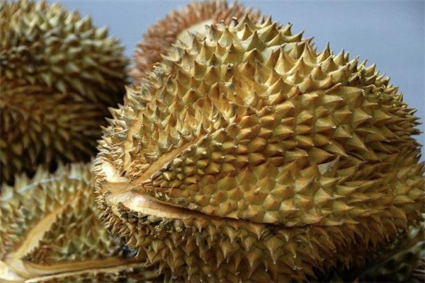 榴蓮殼是什么垃圾 榴蓮殼是干垃圾還是濕垃圾 榴蓮殼是什么垃圾 榴蓮殼是干垃圾還是濕垃圾
