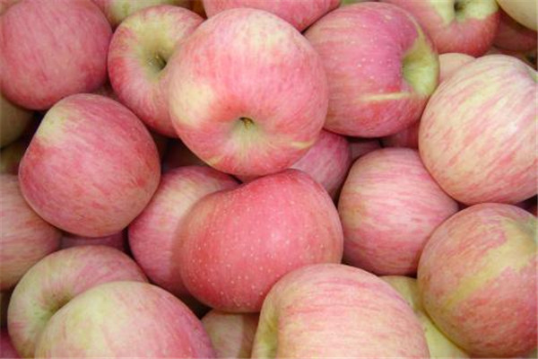 蘋果吃一半怎么保存 蘋果沒吃完的保存方法 蘋果吃一半怎么保存 蘋果沒吃完的保存方法