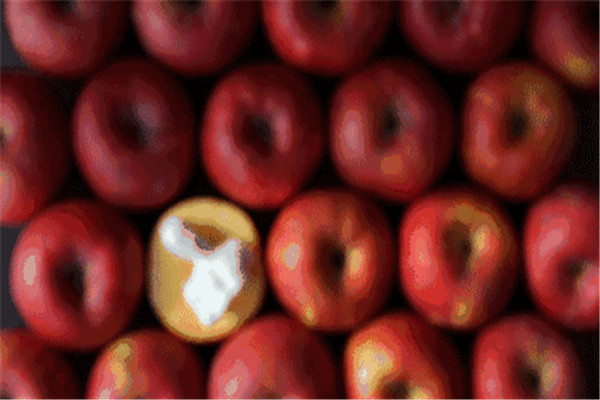 蘋果吃起來有酒味是怎么回事 蘋果有酒味是壞了嗎 蘋果吃起來有酒味是怎么回事 蘋果有酒味是壞了嗎