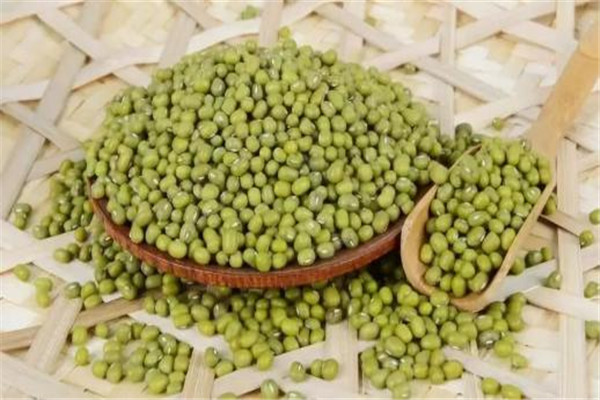 綠豆放了一年還能吃嗎 陳綠豆可以吃嗎 綠豆放了一年還能吃嗎 陳綠豆可以吃嗎
