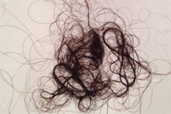 掉落的頭發(fā)是什么垃圾 碎頭發(fā)是干垃圾還是濕垃圾 掉落的頭發(fā)是什么垃圾 碎頭發(fā)是干垃圾還是濕垃圾