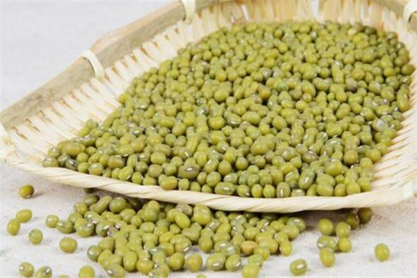 綠豆放在水里幾天能發(fā)芽 綠豆放水里會(huì)發(fā)芽嗎 綠豆放在水里幾天能發(fā)芽 綠豆放水里會(huì)發(fā)芽嗎