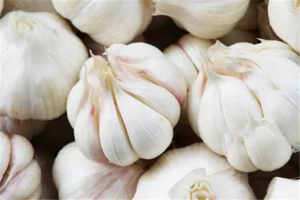 大蒜吃多了會上火嗎 大蒜能多吃嗎 大蒜吃多了會上火嗎 大蒜能多吃嗎