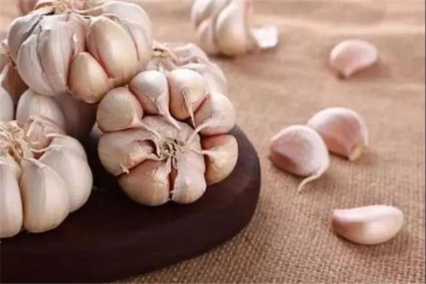大蒜吃多了會上火嗎 大蒜能多吃嗎 大蒜吃多了會上火嗎 大蒜能多吃嗎