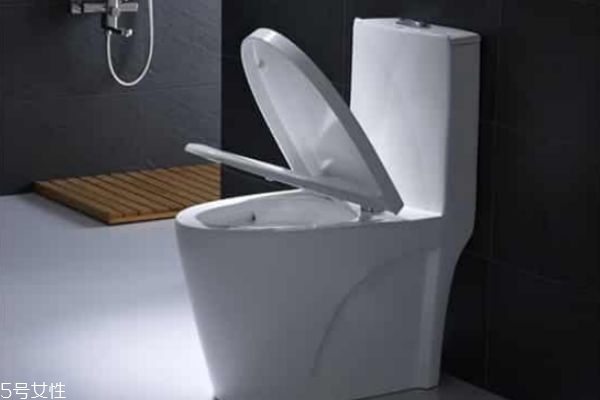 馬桶有必要買(mǎi)貴的嗎 馬桶一般買(mǎi)多錢(qián)的合適 馬桶有必要買(mǎi)貴的嗎 馬桶一般買(mǎi)多錢(qián)的合適