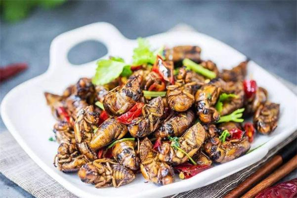 知了猴有寄生蟲嗎 知了猴有寄生蟲怎么處理 知了猴有寄生蟲嗎 知了猴有寄生蟲怎么處理