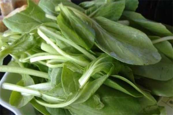 雞毛菜可以涮火鍋嗎 雞毛菜涮火鍋好吃嗎 雞毛菜可以涮火鍋嗎 雞毛菜涮火鍋好吃嗎