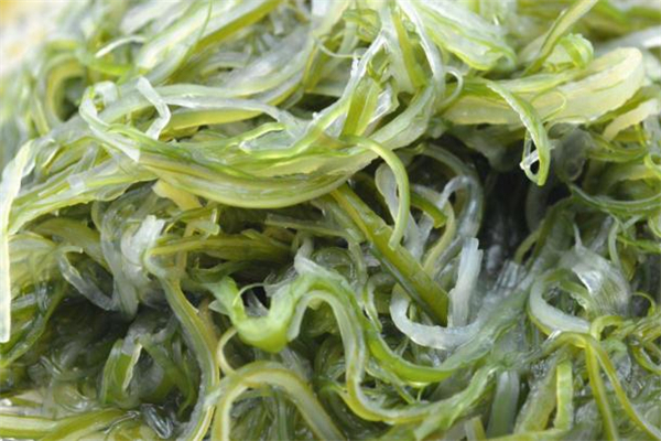 裙帶菜可以炒著吃嗎 裙帶菜能炒雞蛋嗎 裙帶菜可以炒著吃嗎 裙帶菜能炒雞蛋嗎