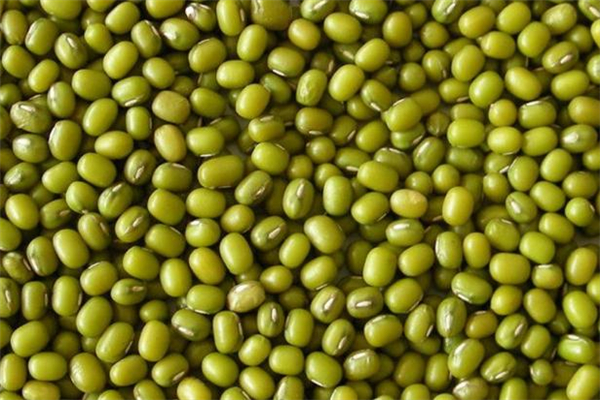 綠豆和海鮮可以一起吃嗎 吃了綠豆可以吃海鮮嗎 綠豆和海鮮可以一起吃嗎 吃了綠豆可以吃海鮮嗎