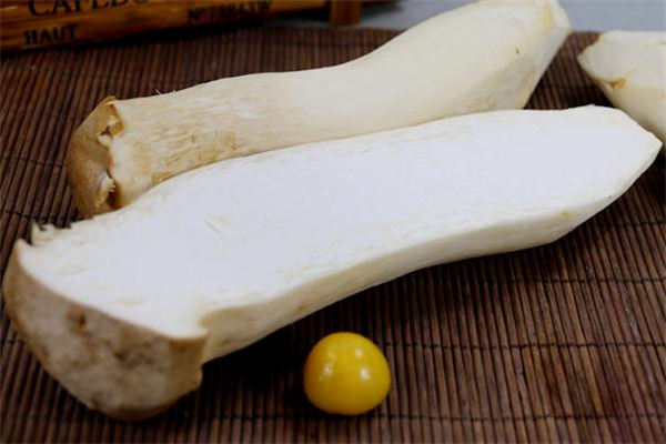 杏鮑菇變軟了還能吃嗎 杏鮑菇軟了是壞了嗎 杏鮑菇變軟了還能吃嗎 杏鮑菇軟了是壞了嗎