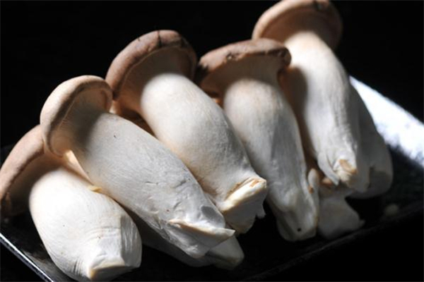 杏鮑菇為什么要焯水 杏鮑菇焯水后怎么存放 杏鮑菇為什么要焯水 杏鮑菇焯水后怎么存放