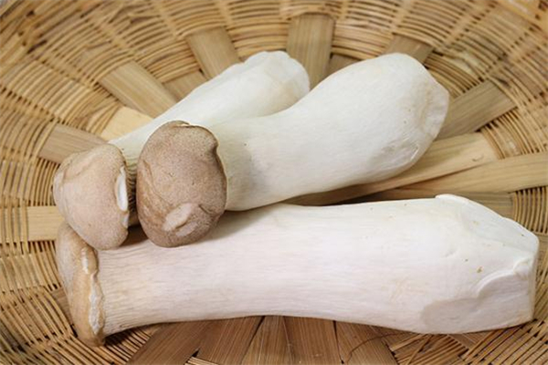 杏鮑菇出水了還能吃嗎 杏鮑菇出水是壞了嗎 杏鮑菇出水了還能吃嗎 杏鮑菇出水是壞了嗎