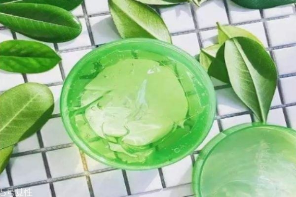 晚上敷蘆薈膠需要洗嗎 蘆薈膠擦臉上一晚不洗可以嗎 晚上敷蘆薈膠需要洗嗎 蘆薈膠擦臉上一晚不洗可以嗎