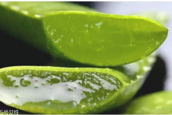 哪個牌子的蘆薈膠最純 蘆薈祛痘怎么用 哪個牌子的蘆薈膠最純 蘆薈祛痘怎么用