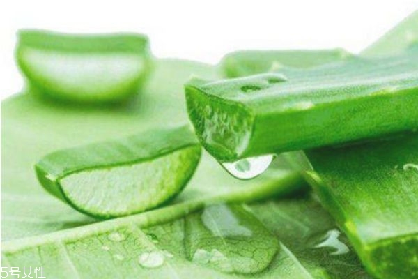哪個牌子的蘆薈膠最純 蘆薈祛痘怎么用 哪個牌子的蘆薈膠最純 蘆薈祛痘怎么用