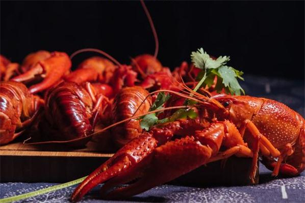 小龍蝦要焯水嗎 小龍蝦焯水用冷水還是熱水 小龍蝦要焯水嗎 小龍蝦焯水用冷水還是熱水