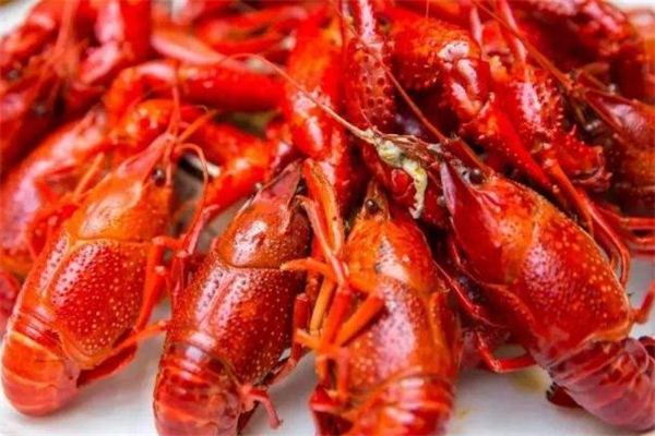 紋眉后可以吃小龍蝦嗎 紋眉后吃小龍蝦會怎樣 紋眉后可以吃小龍蝦嗎 紋眉后吃小龍蝦會怎樣