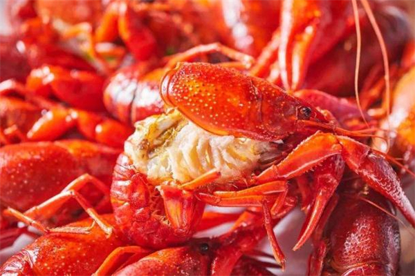 小龍蝦過油好還是過水好 小龍蝦過油要多長時(shí)間