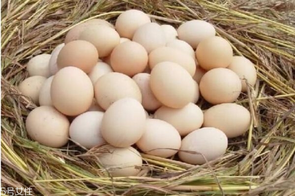 土雞蛋真的更有營(yíng)養(yǎng)嗎 土雞蛋比普通雞蛋更有營(yíng)養(yǎng) 土雞蛋真的更有營(yíng)養(yǎng)嗎 土雞蛋比普通雞蛋更有營(yíng)養(yǎng)