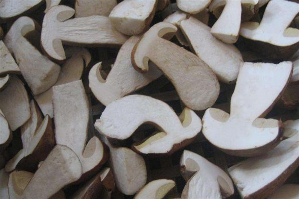 牛肝菌有人工種植的嗎 牛肝菌人工種植技術(shù) 牛肝菌有人工種植的嗎 牛肝菌人工種植技術(shù)