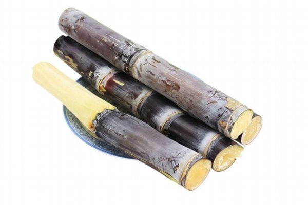 多吃甘蔗有什么好處 長(zhǎng)期吃甘蔗的功效 多吃甘蔗有什么好處 長(zhǎng)期吃甘蔗的功效