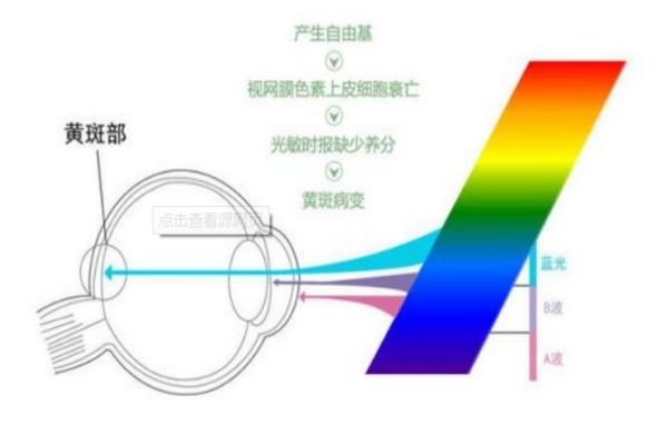 怎么樣預(yù)防近視 手機是否真的危害眼睛