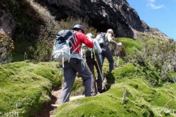 爬山對(duì)膝蓋有損傷嗎 教你保護(hù)膝蓋