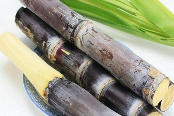 多吃甘蔗有什么好處 長(zhǎng)期吃甘蔗的功效 多吃甘蔗有什么好處 長(zhǎng)期吃甘蔗的功效