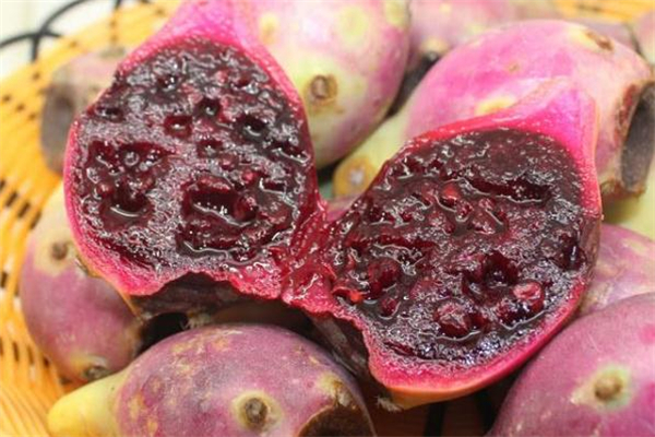 什么人不能吃仙人掌果 仙人掌果不適宜什么人吃 什么人不能吃仙人掌果 仙人掌果不適宜什么人吃