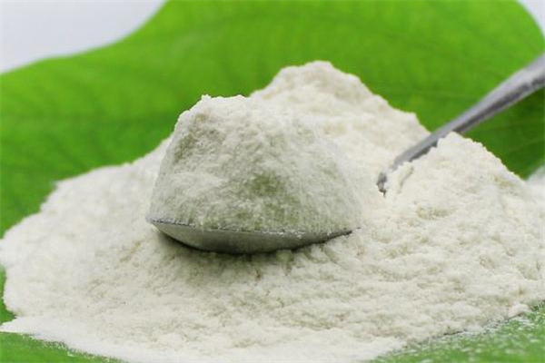 茯苓粉可以天天喝嗎 茯苓粉的功效與作用 茯苓粉可以天天喝嗎 茯苓粉的功效與作用