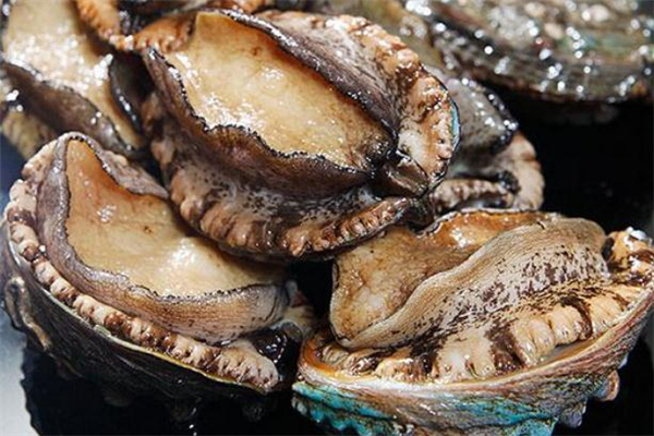 鮑魚(yú)的嘴巴能吃嗎 鮑魚(yú)嘴巴怎么處理