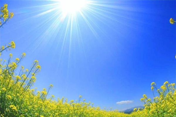 中伏為什么有十天有二十天 中伏為什么有兩個(gè) 中伏為什么有十天有二十天 中伏為什么有兩個(gè)