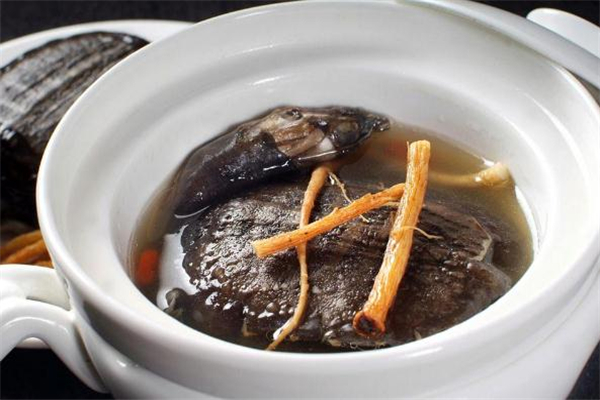 甲魚湯隔夜還能喝嗎 甲魚湯放了一晚還能喝嗎 甲魚湯隔夜還能喝嗎 甲魚湯放了一晚還能喝嗎