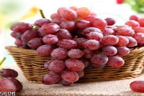無籽水果怎么樣來的 無籽紅提的好處 無籽水果怎么樣來的 無籽紅提的好處