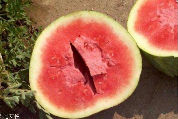 西瓜空心是怎么回事 西瓜空心的原因 西瓜空心是怎么回事 西瓜空心的原因