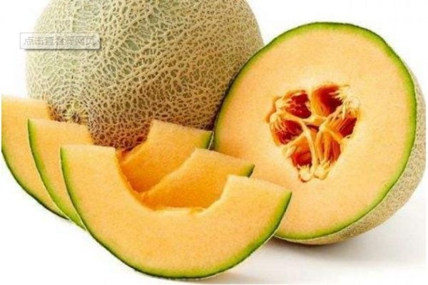 常吃哈密瓜會(huì)變胖嗎 哈密瓜的含糖量高嗎 常吃哈密瓜會(huì)變胖嗎 哈密瓜的含糖量高嗎