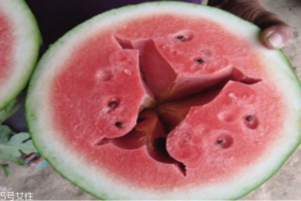 西瓜空心是怎么回事 西瓜空心的原因 西瓜空心是怎么回事 西瓜空心的原因