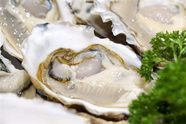 吃了生蠔能喝奶茶嗎 生蠔可以和奶茶一起吃嗎 吃了生蠔能喝奶茶嗎 生蠔可以和奶茶一起吃嗎