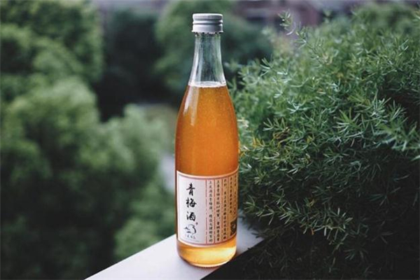 青梅酒什么味道 青梅酒怎么喝 青梅酒什么味道 青梅酒怎么喝