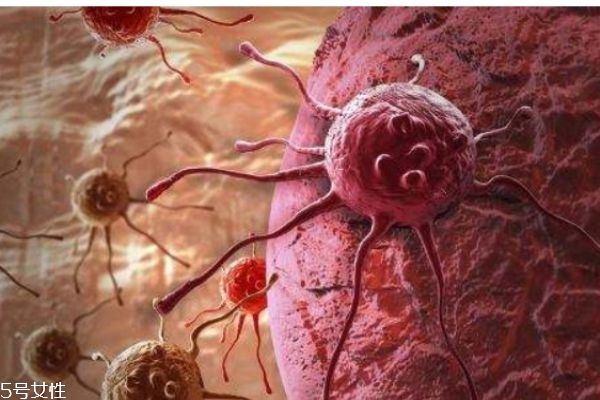 艾滋病是什么病 艾滋病通過(guò)什么途徑傳播 艾滋病是什么病 艾滋病通過(guò)什么途徑傳播