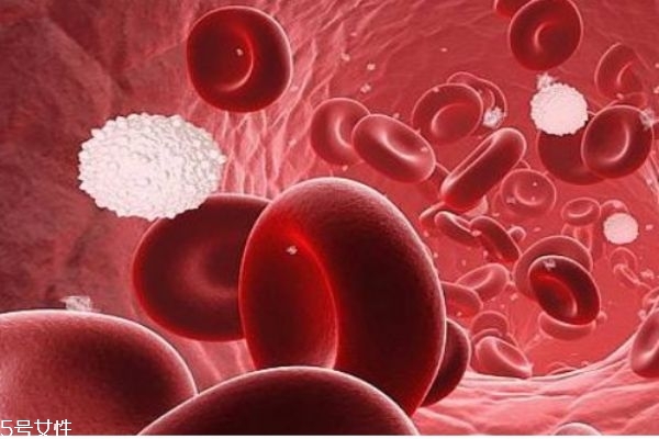 艾滋病是什么病 艾滋病通過(guò)什么途徑傳播 艾滋病是什么病 艾滋病通過(guò)什么途徑傳播