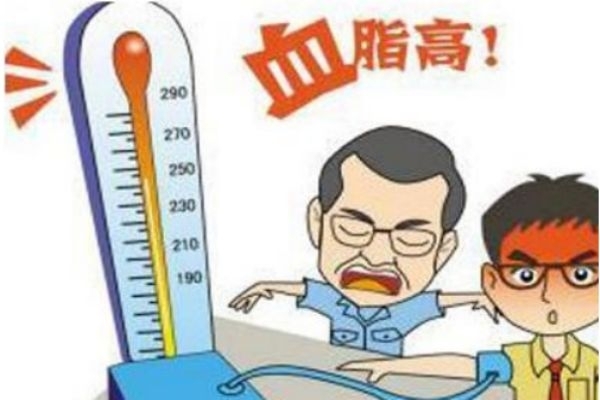 什么是高血脂 高血脂的危害是什么 什么是高血脂 高血脂的危害是什么